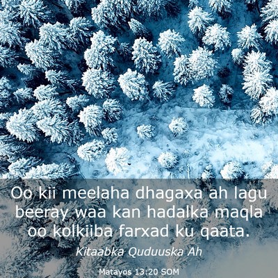 Picture 03 - Matayos 13:20 SOM - Oo kii meelaha dhagaxa ah lagu beeray waa kan - Bible Verse Picture