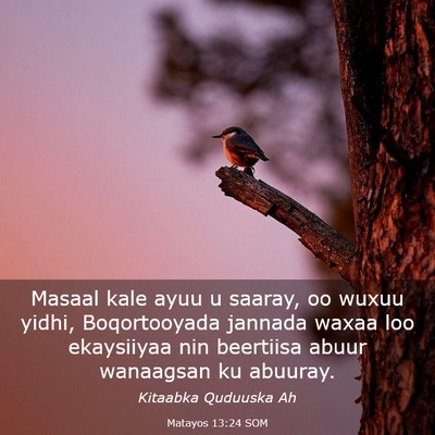 Picture 03 - Matayos 13:24 SOM - Masaal kale ayuu u saaray, oo wuxuu yidhi, - Bible Verse Picture
