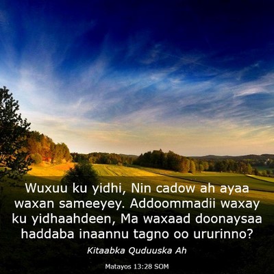 Picture 03 - Matayos 13:28 SOM - Wuxuu ku yidhi, Nin cadow ah ayaa waxan sameeyey. - Bible Verse Picture