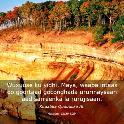 Picture 03 - Matayos 13:29 SOM - Wuxuuse ku yidhi, Maya, waaba intaas oo goortaad - Bible Verse Picture