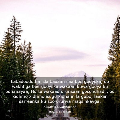 Picture 03 - Matayos 13:30 SOM - Labadoodu ha isla baxaan ilaa beergooyska, oo - Bible Verse Picture