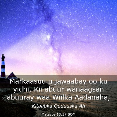 Picture 03 - Matayos 13:37 SOM - Markaasuu u jawaabay oo ku yidhi, Kii abuur - Bible Verse Picture