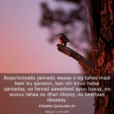 Picture 03 - Matayos 13:44 SOM - Boqortooyada jannadu waxay u eg tahay maal beer - Bible Verse Picture