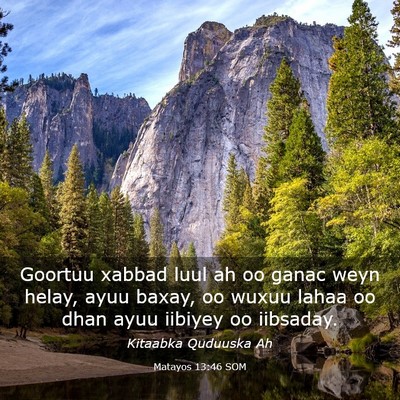 Picture 03 - Matayos 13:46 SOM - Goortuu xabbad luul ah oo ganac weyn helay, ayuu - Bible Verse Picture