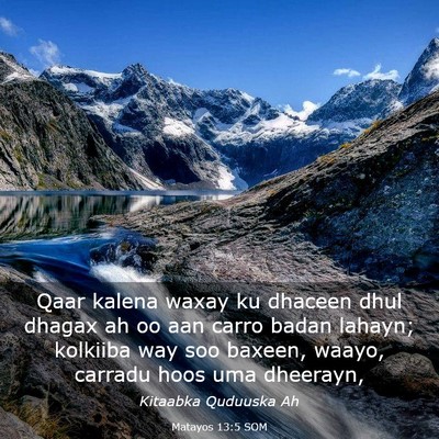 Picture 03 - Matayos 13:5 SOM - Qaar kalena waxay ku dhaceen dhul dhagax ah oo - Bible Verse Picture