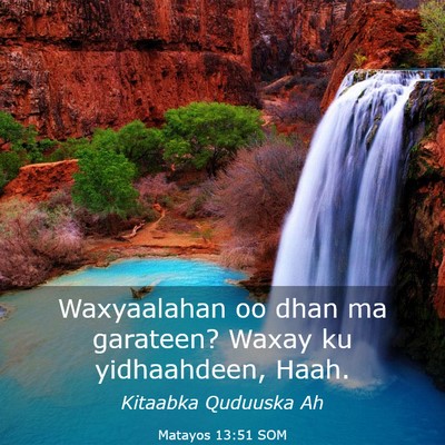 Picture 03 - Matayos 13:51 SOM - Waxyaalahan oo dhan ma garateen? Waxay ku - Bible Verse Picture