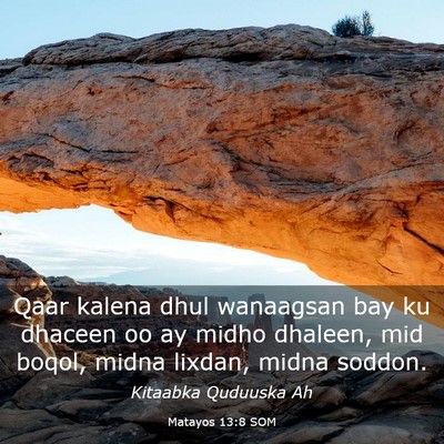 Picture 03 - Matayos 13:8 SOM - Qaar kalena dhul wanaagsan bay ku dhaceen oo ay - Bible Verse Picture