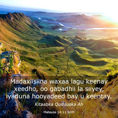 Picture 03 - Matayos 14:11 SOM - Madaxiisiina waxaa lagu keenay xeedho, oo - Bible Verse Picture