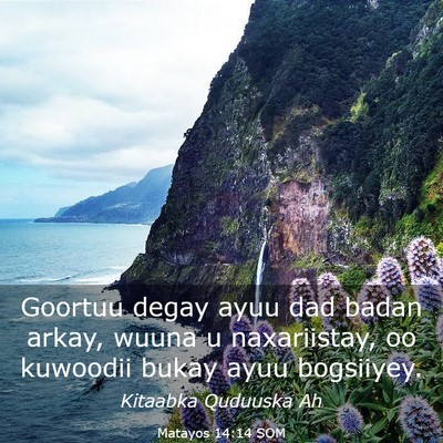 Picture 03 - Matayos 14:14 SOM - Goortuu degay ayuu dad badan arkay, wuuna u - Bible Verse Picture