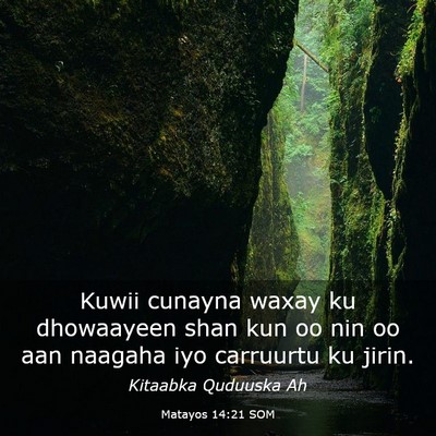 Picture 03 - Matayos 14:21 SOM - Kuwii cunayna waxay ku dhowaayeen shan kun oo nin - Bible Verse Picture