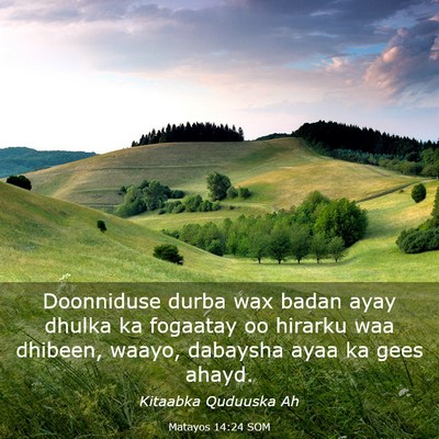 Picture 03 - Matayos 14:24 SOM - Doonniduse durba wax badan ayay dhulka ka - Bible Verse Picture
