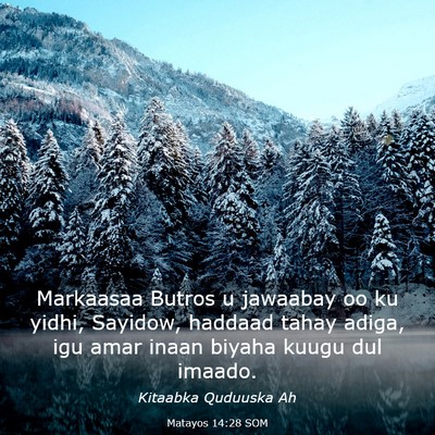 Picture 03 - Matayos 14:28 SOM - Markaasaa Butros u jawaabay oo ku yidhi, Sayidow, - Bible Verse Picture