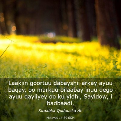 Picture 03 - Matayos 14:30 SOM - Laakiin goortuu dabayshii arkay ayuu baqay, oo - Bible Verse Picture