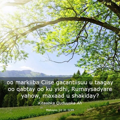 Picture 03 - Matayos 14:31 SOM - oo markiiba Ciise gacantiisuu u taagay oo qabtay - Bible Verse Picture