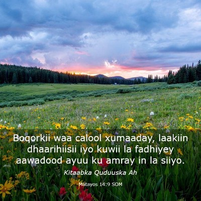 Picture 03 - Matayos 14:9 SOM - Boqorkii waa calool xumaaday, laakiin - Bible Verse Picture
