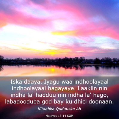 Picture 03 - Matayos 15:14 SOM - Iska daaya. Iyagu waa indhoolayaal indhoolayaal - Bible Verse Picture
