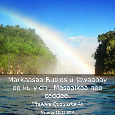 Picture 03 - Matayos 15:15 SOM - Markaasaa Butros u jawaabay oo ku yidhi, - Bible Verse Picture