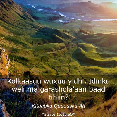 Picture 03 - Matayos 15:16 SOM - Kolkaasuu wuxuu yidhi, Idinku weli ma - Bible Verse Picture