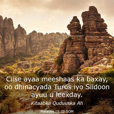 Picture 03 - Matayos 15:21 SOM - Ciise ayaa meeshaas ka baxay, oo dhinacyada Turos - Bible Verse Picture