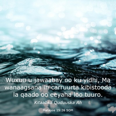 Picture 03 - Matayos 15:26 SOM - Wuxuu u jawaabay oo ku yidhi, Ma wanaagsana in - Bible Verse Picture