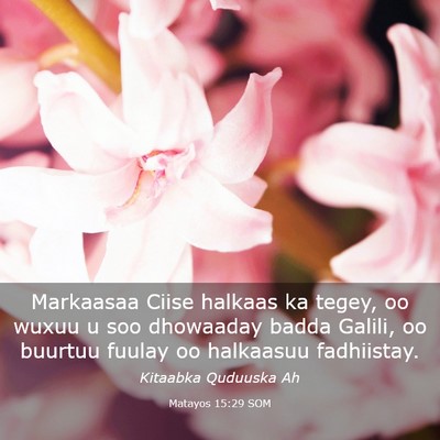 Picture 03 - Matayos 15:29 SOM - Markaasaa Ciise halkaas ka tegey, oo wuxuu u soo - Bible Verse Picture