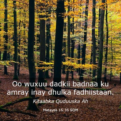 Picture 03 - Matayos 15:35 SOM - Oo wuxuu dadkii badnaa ku amray inay dhulka - Bible Verse Picture