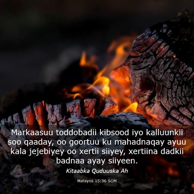 Picture 03 - Matayos 15:36 SOM - Markaasuu toddobadii kibsood iyo kalluunkii soo - Bible Verse Picture