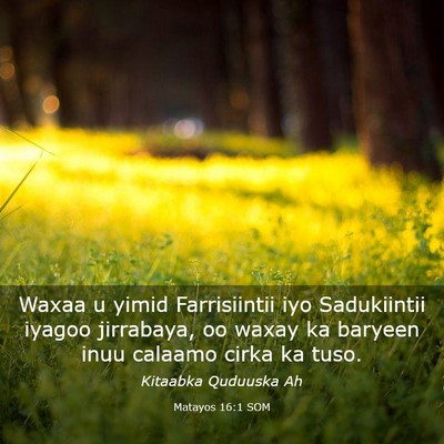 Picture 03 - Matayos 16:1 SOM - Waxaa u yimid Farrisiintii iyo Sadukiintii iyagoo - Bible Verse Picture