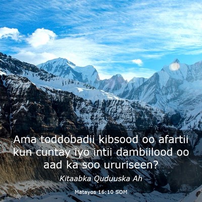 Picture 03 - Matayos 16:10 SOM - Ama toddobadii kibsood oo afartii kun cuntay iyo - Bible Verse Picture