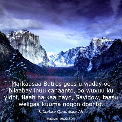 Picture 03 - Matayos 16:22 SOM - Markaasaa Butros gees u waday oo bilaabay inuu - Bible Verse Picture