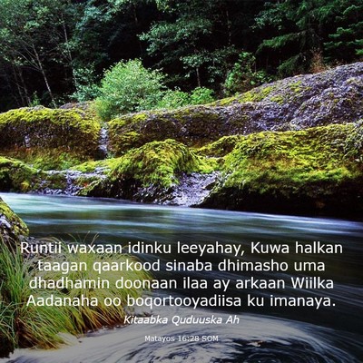 Picture 03 - Matayos 16:28 SOM - Runtii waxaan idinku leeyahay, Kuwa halkan taagan - Bible Verse Picture