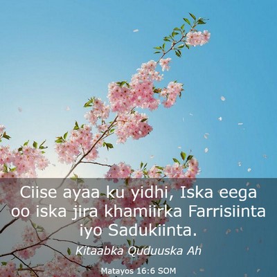 Picture 03 - Matayos 16:6 SOM - Ciise ayaa ku yidhi, Iska eega oo iska jira - Bible Verse Picture