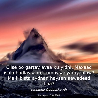 Picture 03 - Matayos 16:8 SOM - Ciise oo gartay ayaa ku yidhi, Maxaad isula - Bible Verse Picture