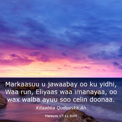 Picture 03 - Matayos 17:11 SOM - Markaasuu u jawaabay oo ku yidhi, Waa run, - Bible Verse Picture