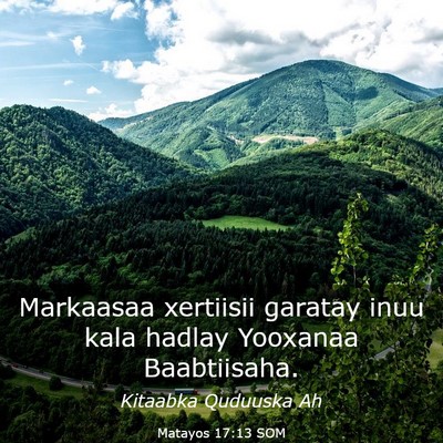 Picture 03 - Matayos 17:13 SOM - Markaasaa xertiisii garatay inuu kala hadlay - Bible Verse Picture