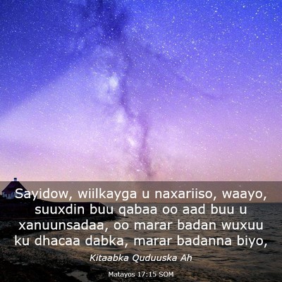 Picture 03 - Matayos 17:15 SOM - Sayidow, wiilkayga u naxariiso, waayo, suuxdin - Bible Verse Picture