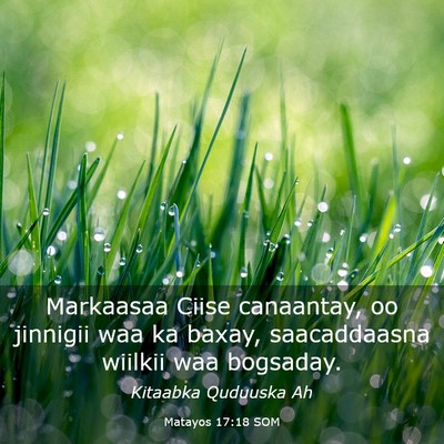Picture 03 - Matayos 17:18 SOM - Markaasaa Ciise canaantay, oo jinnigii waa ka - Bible Verse Picture