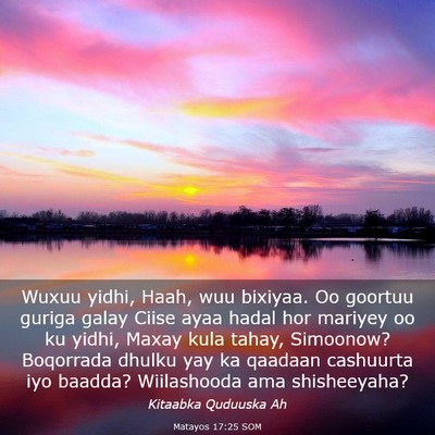 Picture 03 - Matayos 17:25 SOM - Wuxuu yidhi, Haah, wuu bixiyaa. Oo goortuu guriga - Bible Verse Picture