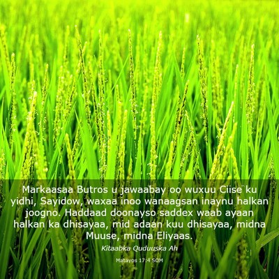 Picture 03 - Matayos 17:4 SOM - Markaasaa Butros u jawaabay oo wuxuu Ciise ku - Bible Verse Picture