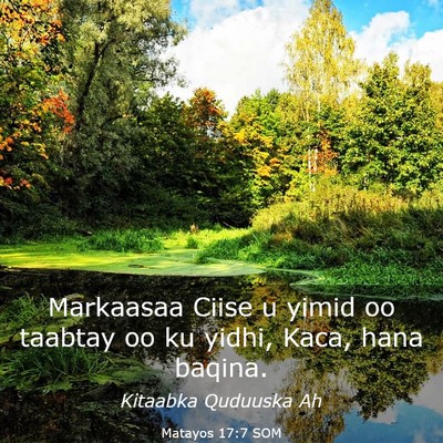 Picture 03 - Matayos 17:7 SOM - Markaasaa Ciise u yimid oo taabtay oo ku yidhi, - Bible Verse Picture