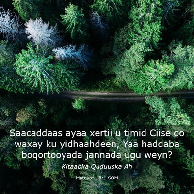 Picture 03 - Matayos 18:1 SOM - Saacaddaas ayaa xertii u timid Ciise oo waxay ku - Bible Verse Picture