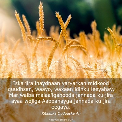 Picture 03 - Matayos 18:10 SOM - Iska jira inaydnaan yaryarkan midkood quudhsan, - Bible Verse Picture