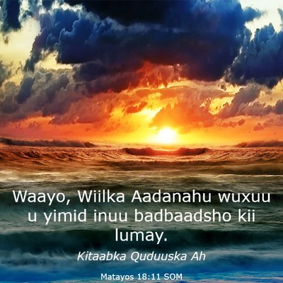 Picture 03 - Matayos 18:11 SOM - Waayo, Wiilka Aadanahu wuxuu u yimid inuu - Bible Verse Picture