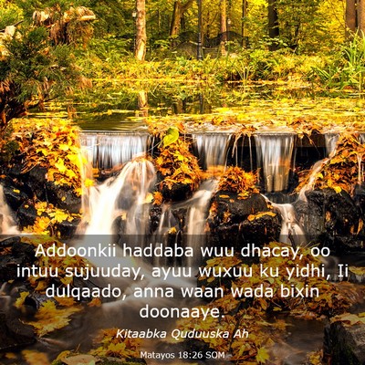 Picture 03 - Matayos 18:26 SOM - Addoonkii haddaba wuu dhacay, oo intuu sujuuday, - Bible Verse Picture