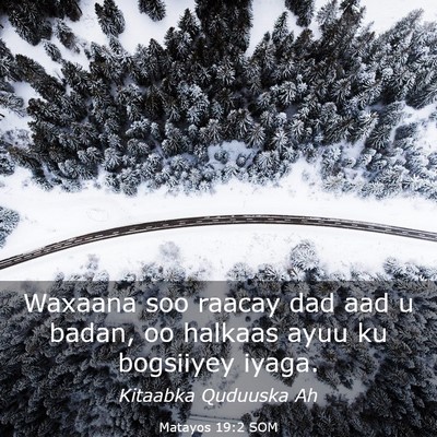 Picture 03 - Matayos 19:2 SOM - Waxaana soo raacay dad aad u badan, oo halkaas - Bible Verse Picture