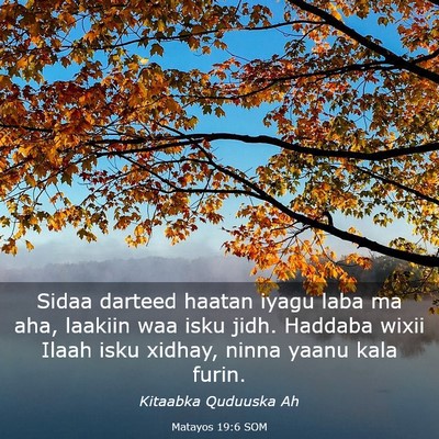 Picture 03 - Matayos 19:6 SOM - Sidaa darteed haatan iyagu laba ma aha, laakiin - Bible Verse Picture