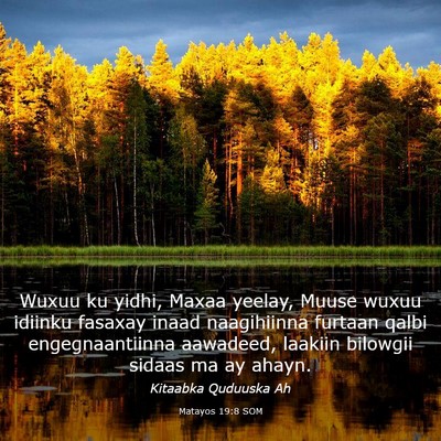 Picture 03 - Matayos 19:8 SOM - Wuxuu ku yidhi, Maxaa yeelay, Muuse wuxuu idiinku - Bible Verse Picture