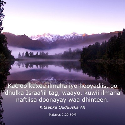 Picture 03 - Matayos 2:20 SOM - Kac oo kaxee ilmaha iyo hooyadiis, oo dhulka - Bible Verse Picture