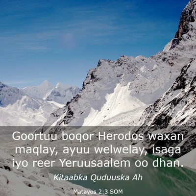 Picture 03 - Matayos 2:3 SOM - Goortuu boqor Herodos waxan maqlay, ayuu - Bible Verse Picture