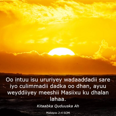 Picture 03 - Matayos 2:4 SOM - Oo intuu isu ururiyey wadaaddadii sare iyo - Bible Verse Picture